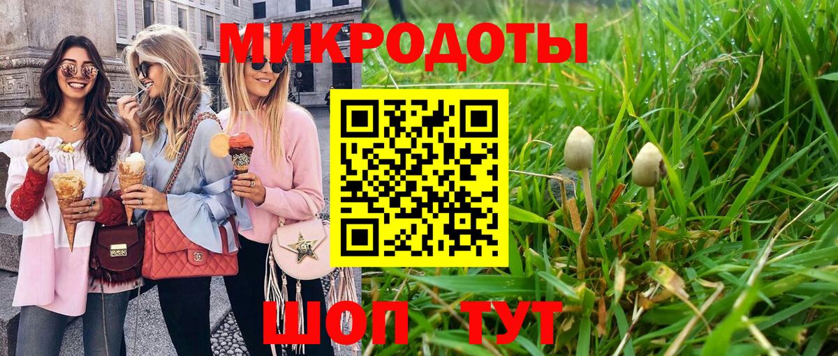 Галлюциногенные грибы Cubensis Азов