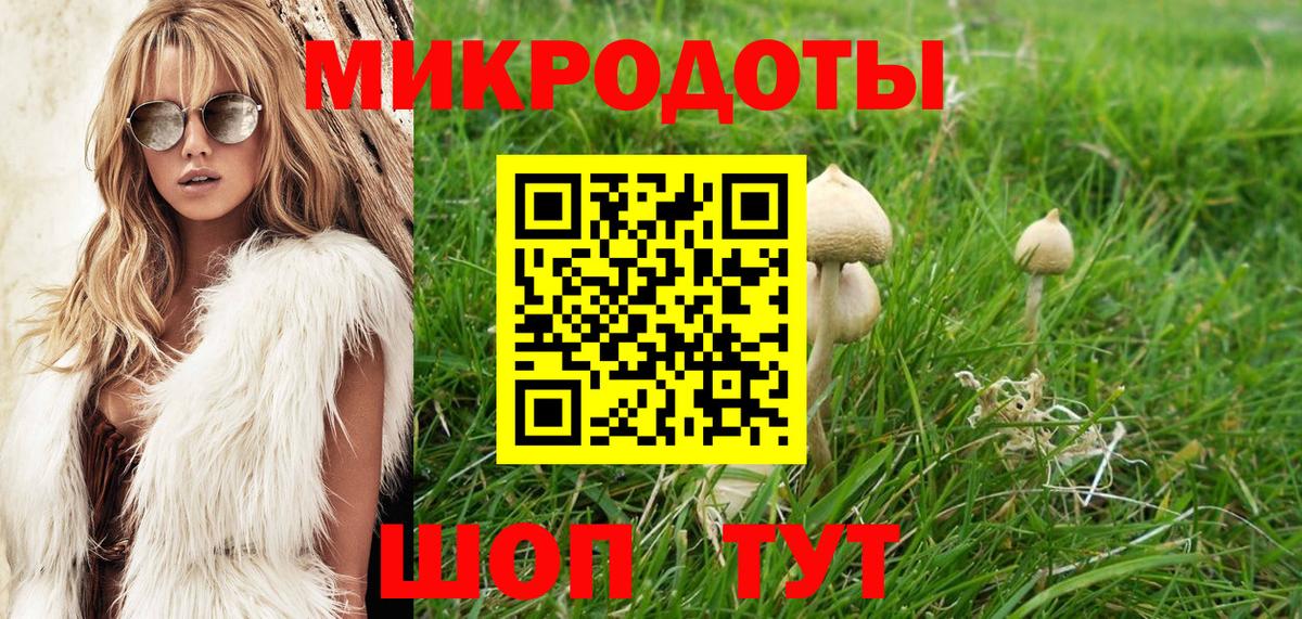 Псилоцибиновые грибы мицелий  Вход с VPN  Азов 